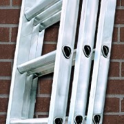Triple Extension Ladders