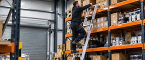 Shelf Ladders