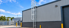 Caged Ladders