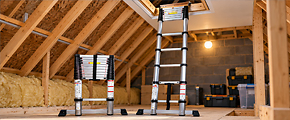 Telescopic Ladders