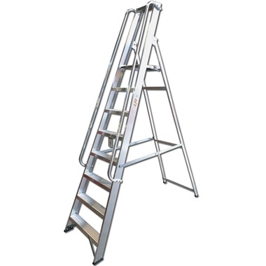 Professional Platform Step Ladders with Handrails