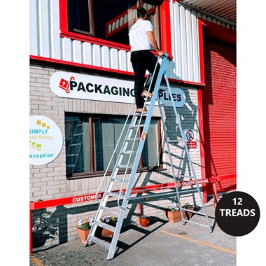 Professional Platform Step Ladders with Handrails