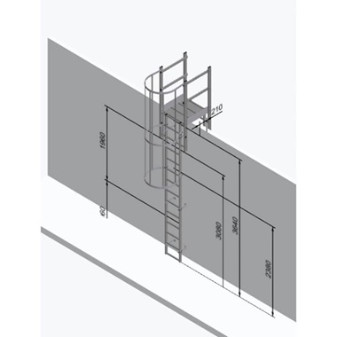 Fixed Vertical Ladder - Hoops & Parapet Crossover