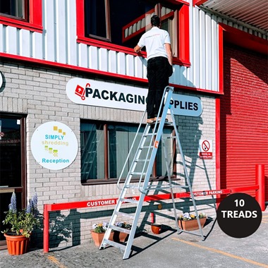 Professional Platform Step Ladders with Handrails