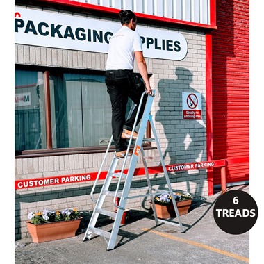 Professional Platform Step Ladders with Handrails