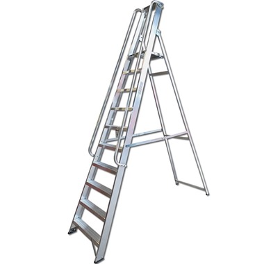 Professional Platform Step Ladders with Handrails