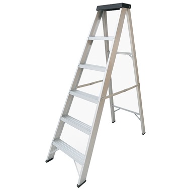 Professional Swingback Step Ladders