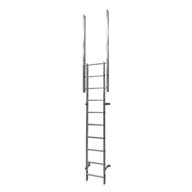 Fixed Vertical Roof Access Ladder Walkthrough Only