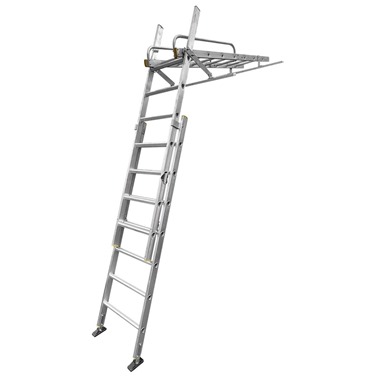 LFI PRo Conservatory Ladder