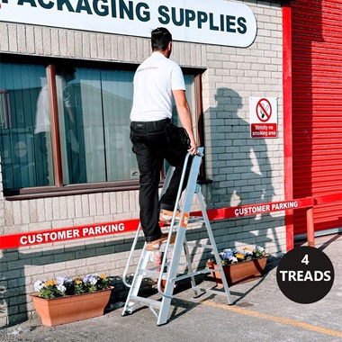 Professional Platform Step Ladders with Handrails