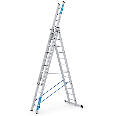 12 Rungs