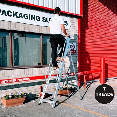 Professional Platform Step Ladders with Handrails