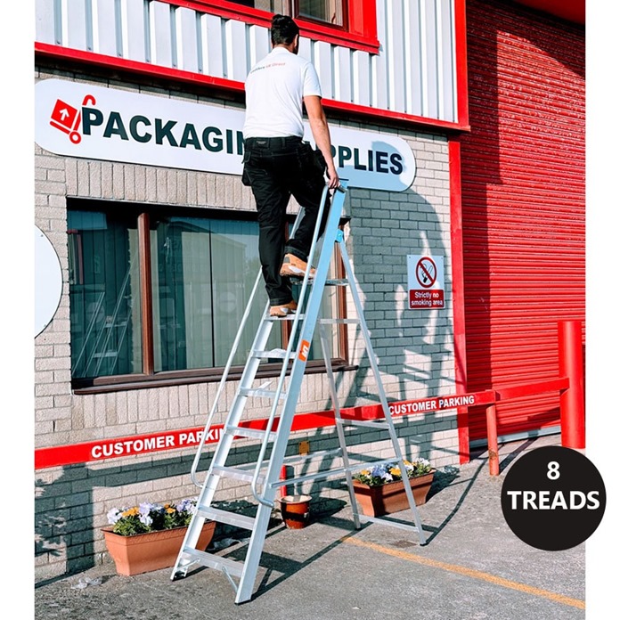 Professional Platform Step Ladders with Handrails