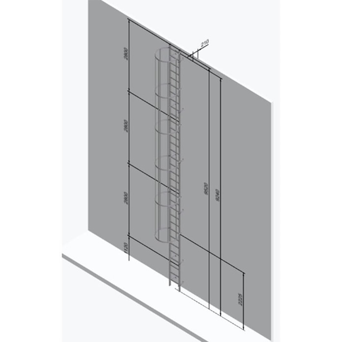 Fixed Vertical Ladder with Safety Cage