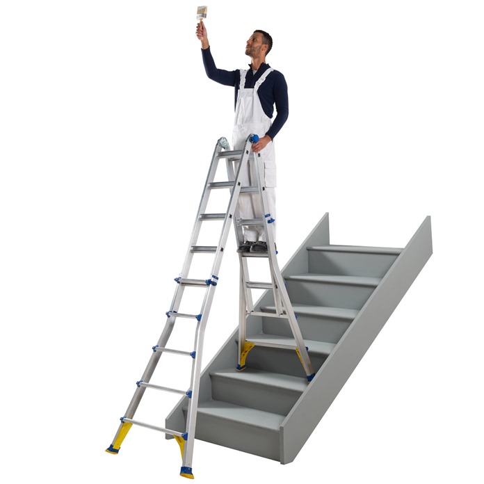 Telescopic Multi Ladder System