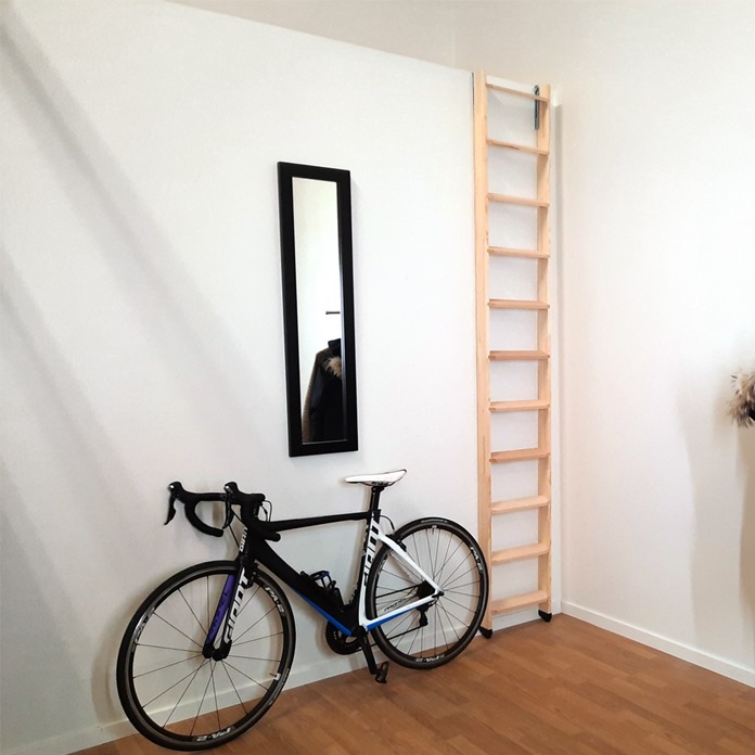 Mezzanine Ladder Untreated