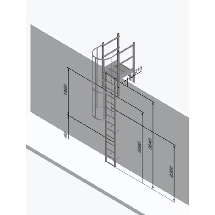 Fixed Vertical Ladder - Hoops & Parapet Crossover