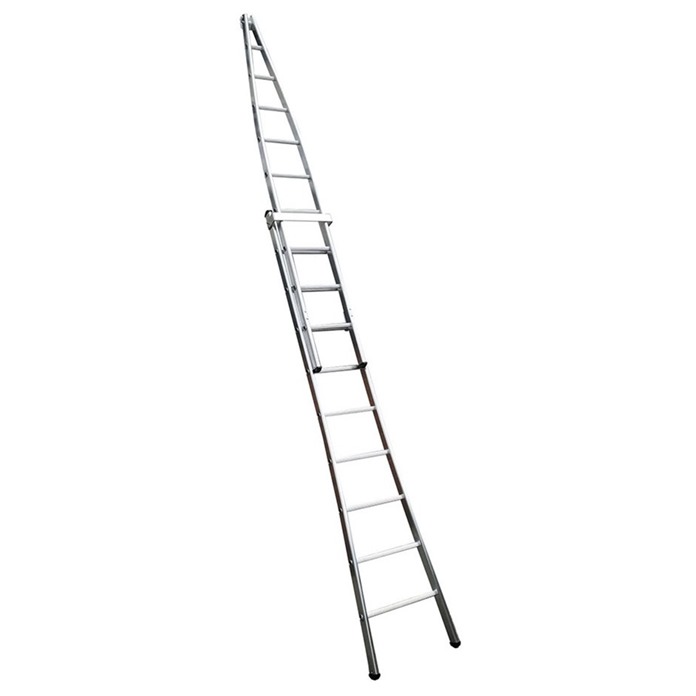 Chase Window Cleaners Ladders (Double Section)