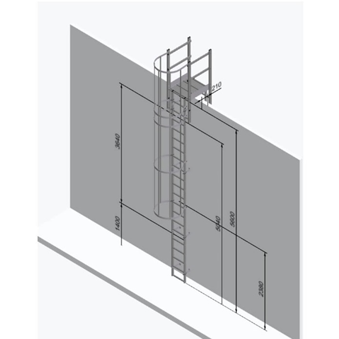 Fixed Vertical Ladder – Cage & Parapet Crossover