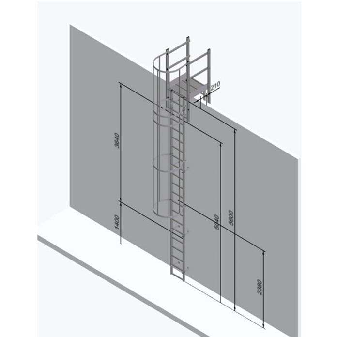 Fixed Vertical Ladder - Hoops & Parapet Crossover