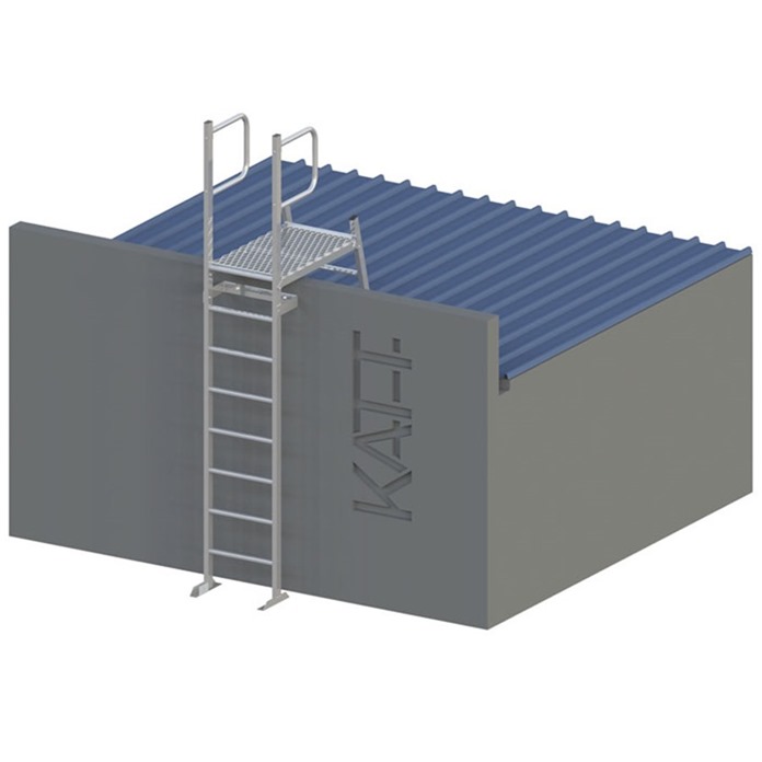 Vertical access ladder with parapet platform
