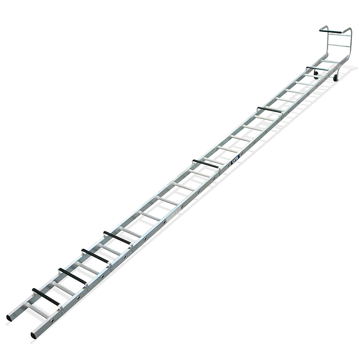 Lyte Single Section Roof Ladders