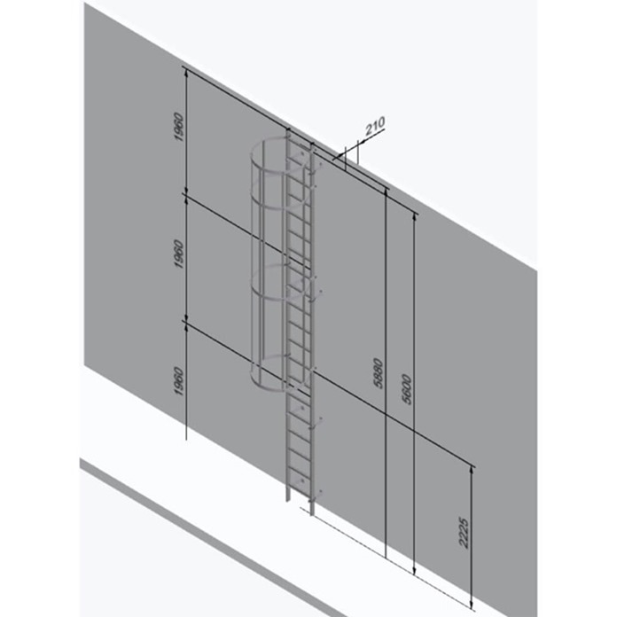 Fixed Vertical Ladder with Safety Cage