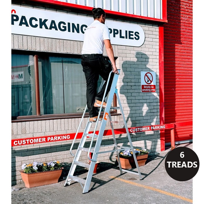 Professional Platform Step Ladders with Handrails