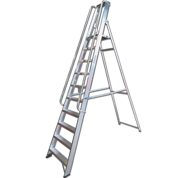 Professional Platform Step Ladders with Handrails
