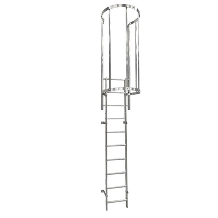 Fixed Vertical Roof Access Ladder with Hoops