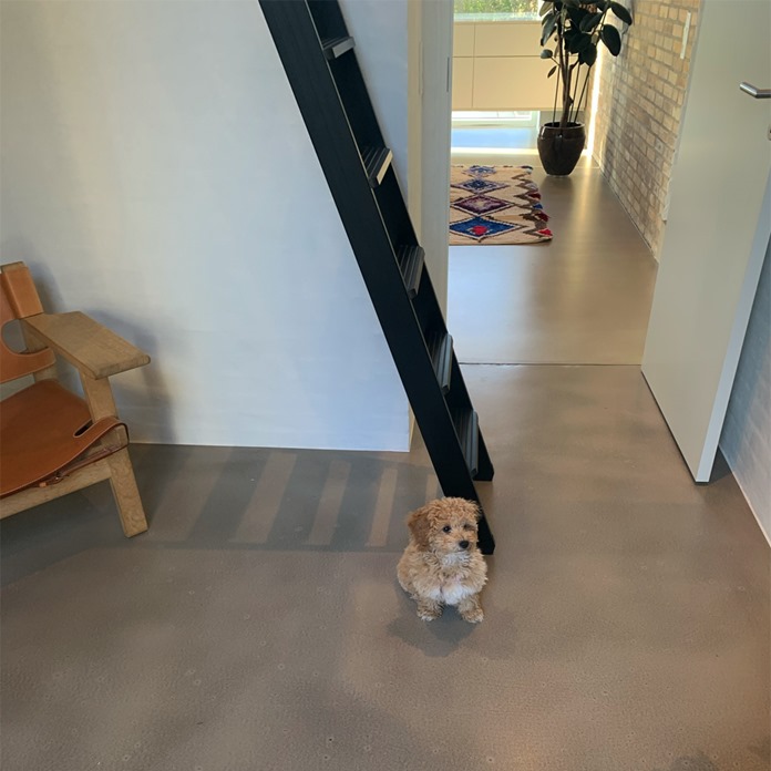 Mezzanine Ladder Black