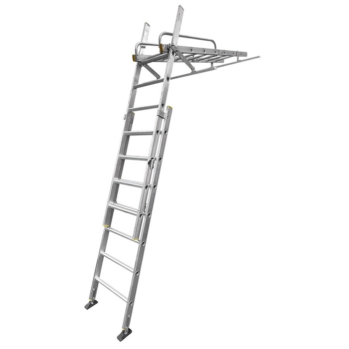 LFI PRo Conservatory Ladder