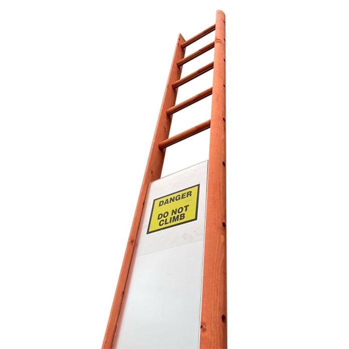 LFI Ladder Guard