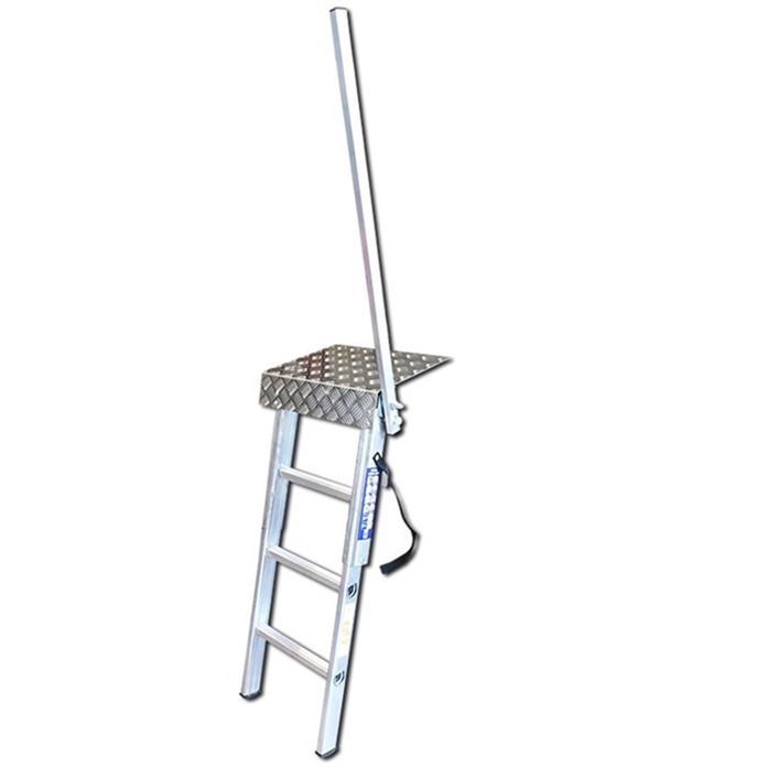 LFI Load Step
