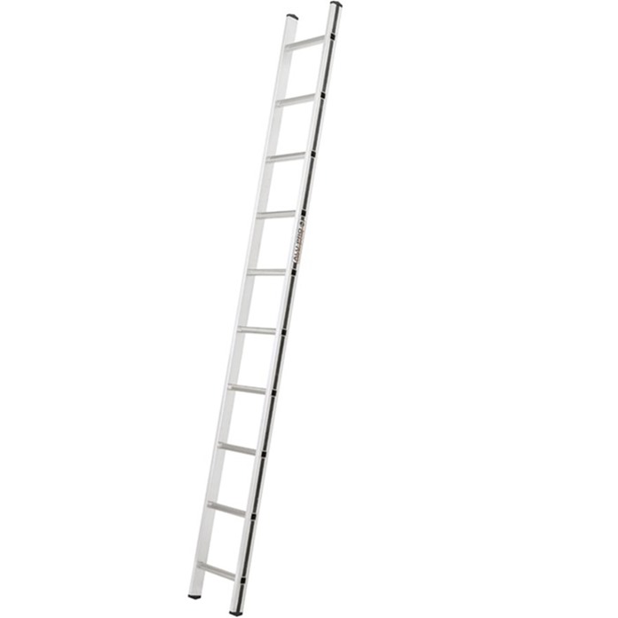 Professional Single Section Ladder
