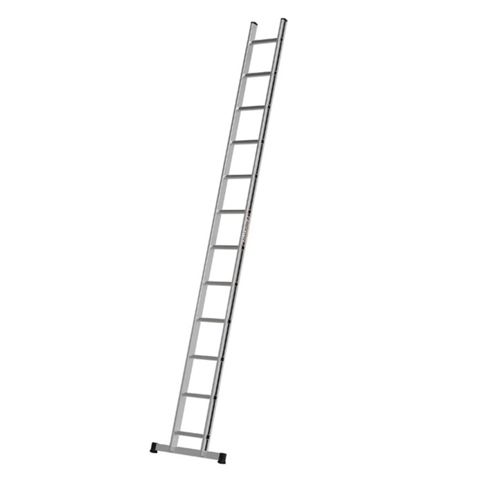 Professional Single Section Ladder