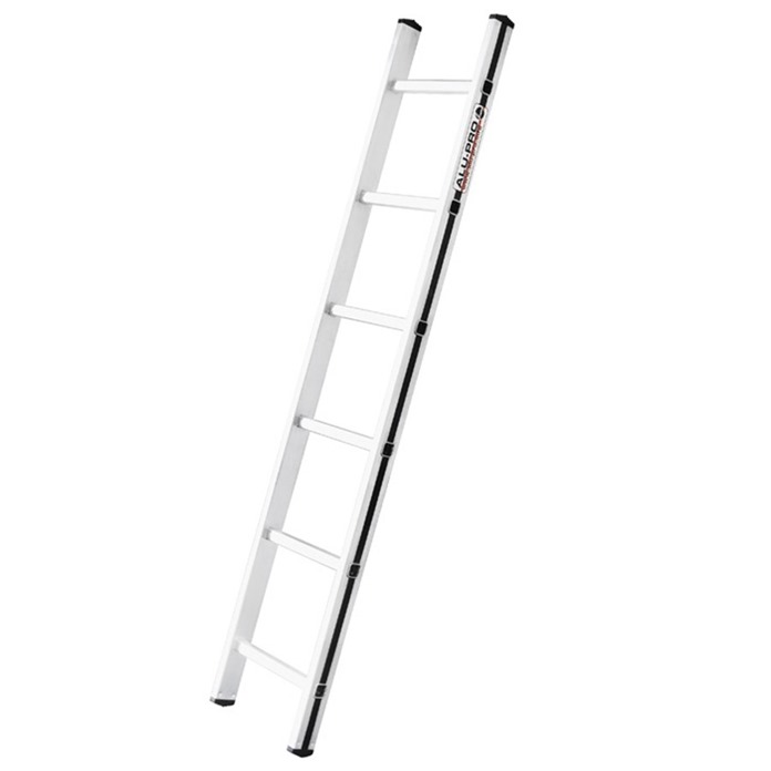 Professional Single Section Ladder