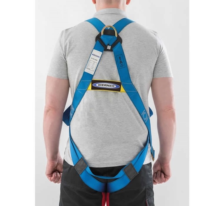 Two Point Universal Harness