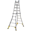 Telescopic Multi Ladder System