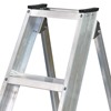 Professional Heavy Duty Swingback Steps