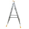 5 Way Ladder & Platform