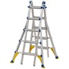 Telescopic Multi Ladder System