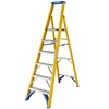 Werner 717 Fibreglass Platform Step Ladders