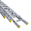 Professional Triple Extension Ladder