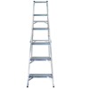 Professional Heavy Duty Swingback Steps
