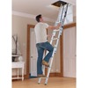 Easystow Loft ladder