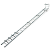 Lyte Single Section Roof Ladders