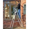 Werner Mastertrade Platform Step Ladders