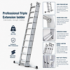 Professional Triple Extension Ladder