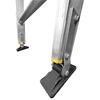LFI PRo Conservatory Ladder